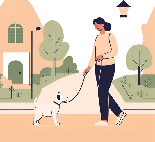 Dog Walking & Pet Care